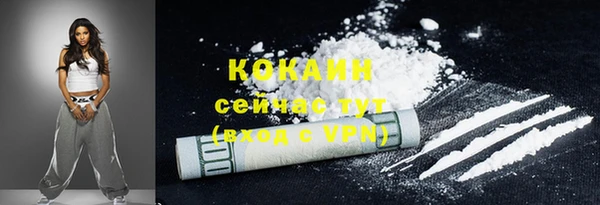 дживик Арсеньев