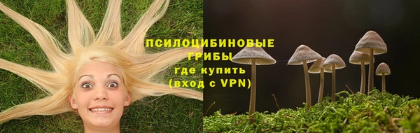 гидропоника Армянск