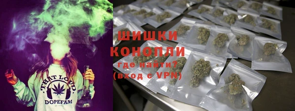 дживик Арсеньев